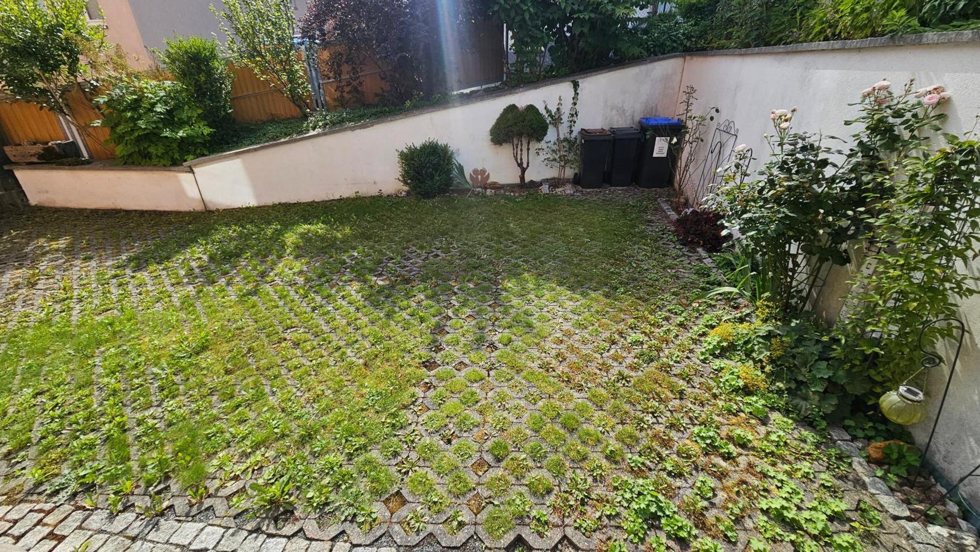 Frühstückspension Weisse Rose Bad Elster Exterior foto